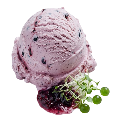 Royal Falooda
